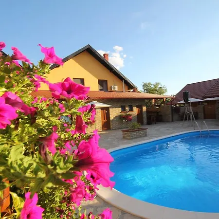 Guest house Alexandar *